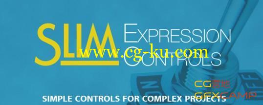 Aescripts Slim Expression Controls v1.06＋教程的图片1