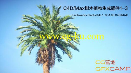 C4D/Max植物树木生成插件 Laubwerks Plants Kits 1-3 v1.08 C4D/MAX Win/Mac的图片1