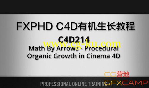 FXPHD – C4D214 Math By Arrows – Procedural Organic Growth in Cinema 4D的图片2