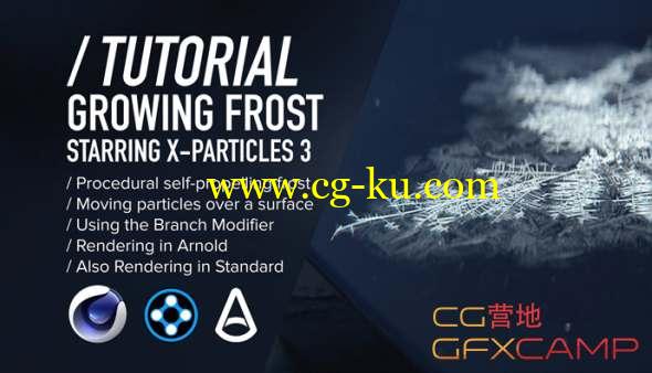 XP粒子冰霜生长动画C4D教程 Cinema 4D - Procedural Growing Frost with X-Particles Tutorial的图片1