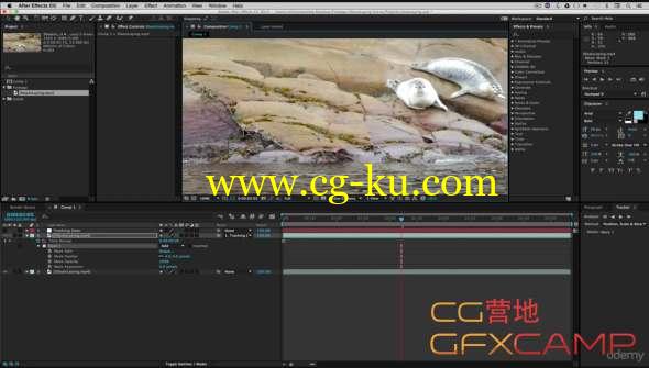 AE实拍视频后期跟踪合成基础教程 Udemy - Adobe After Effects CC Motion Tracking & Compositing Basics的图片1