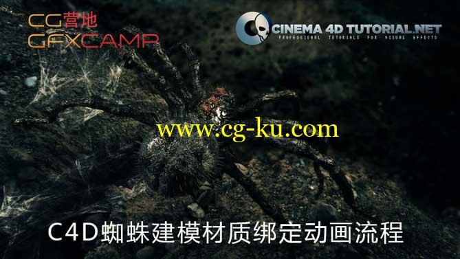 C4D蜘蛛建模材质绑定动画流程 Cinema4dtutorial.net – Giant Spider Compositing的图片1