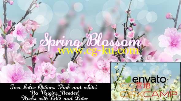 AE模板-春天花朵相册片头 Spring Blossom的图片1
