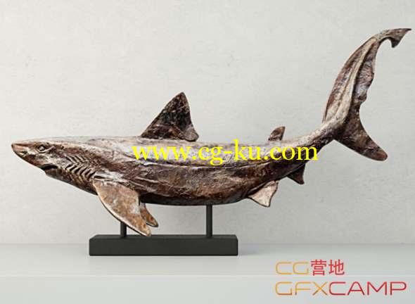 鲨鱼浮雕3D模型 TurboSquid - Relief of a Swimming Shark (MAX/FBX格式)的图片1