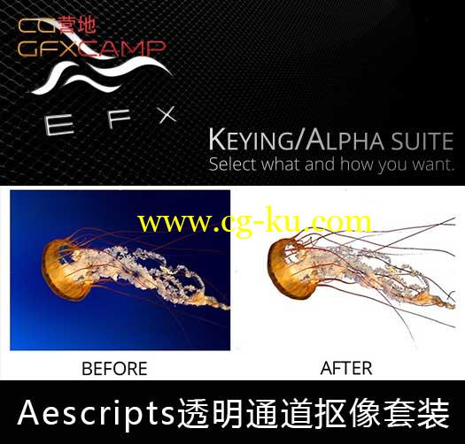 透明通道抠像套装 Aescripts EFX Keying Alpha + 教程的图片1