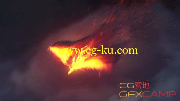 AE模板-火焰凤凰飞翔Logo动画 The Pheonix Fire Reveal的图片1