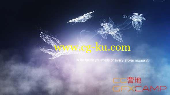 AE模板-Plexus羽毛小鸟飞翔文字宣传片头 Concept of Freedom的图片1