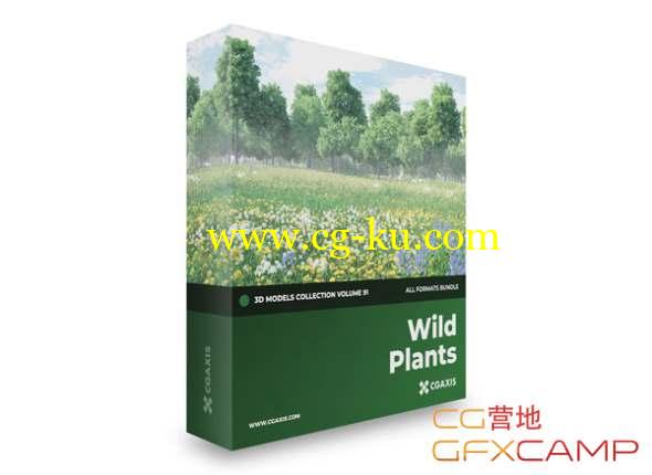 野生植物花朵3D模型 CGAxis - Wild Plants 3D Models Collection Volume 91(C4D/MAX/OBJ/FBX等格式)的图片1