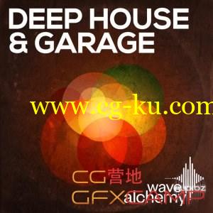 MG卡通音乐音效素材 Wave Alchemy Deep House and Garage的图片1