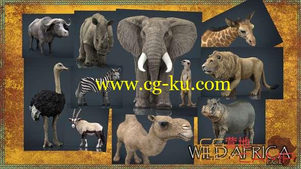 非洲野生动物3D模型 Cubebrush - Wild Africa Pack (MAX/FBX/MB/OBJ格式)的图片1
