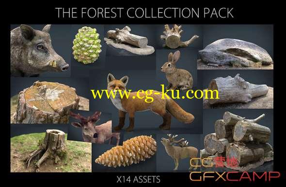 森林动植物3D模型 Cubebrush - The Forest Collection Pack的图片1