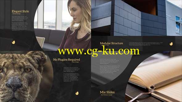 AE模板-公司企业大气优雅包装片头 Elegant Slides的图片1