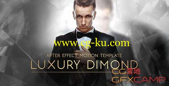 AE模板-时尚奢华人物介绍颁奖片头 Luxury Dimond的图片1