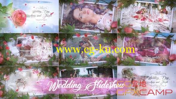 AE模板-玫瑰花瓣照片相册视频婚礼包装片头 Wedding Slideshow的图片1
