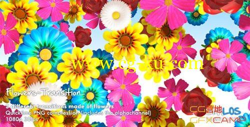 花朵转场视频素材 VideoHive Flowers Transition Pack的图片1
