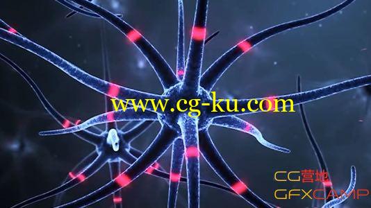 C4D细胞神经传输动画教程  Brain Cell Animation Tutorial的图片1