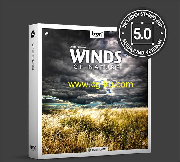 130组大自然风吹雨打环境环绕音无损音效的图片1