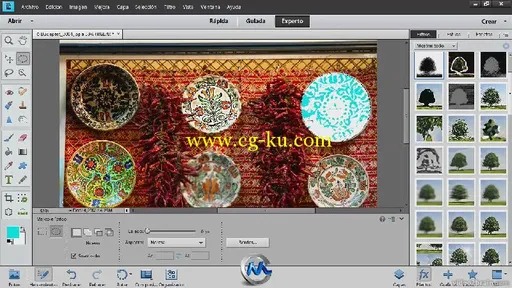 《Photoshop Elements 11应用技术视频教程》video2brain Introduction to Adobe Ph...的图片3