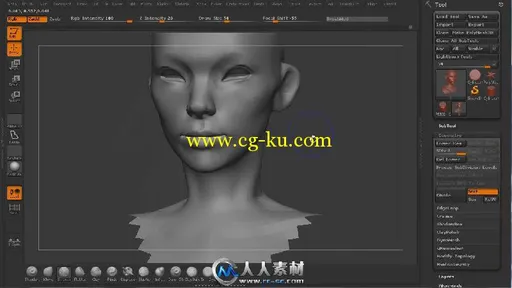 《ZBrush女性角色剖析视频教程》Digital-Tutors Sculpting Anatomy for Females in...的图片1