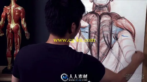 《人体结构与比率手绘绘画视频教程第五季》The Gnomon Workshop Anatomy Workshop ...的图片5