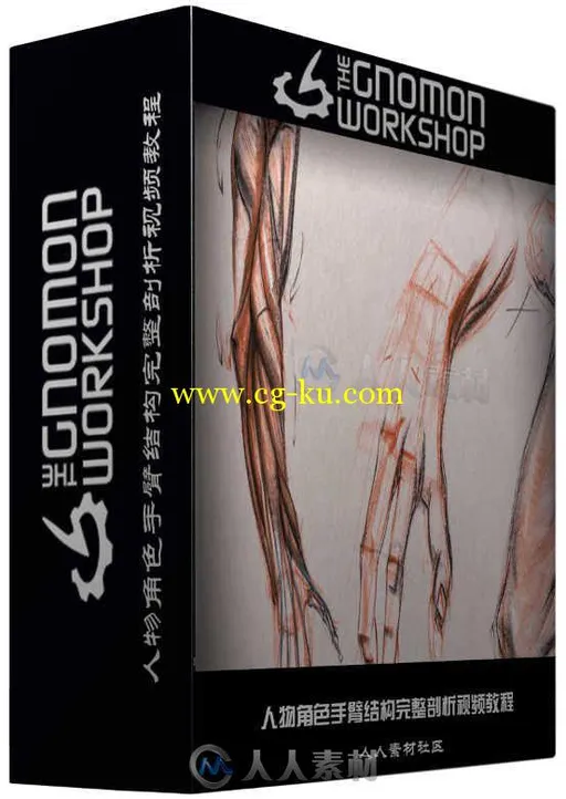 人物角色手臂结构完整剖析视频教程 The Gnomon Workshop Anatomy Workshop Volume ...的图片1