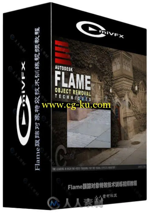 Flame跟踪对象特效技术训练视频教程 cmiVFX Autodesk Flame Object Removal的图片2