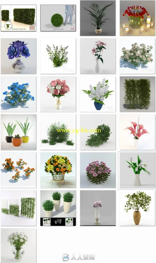25个超精细写实植物3D模型的图片1