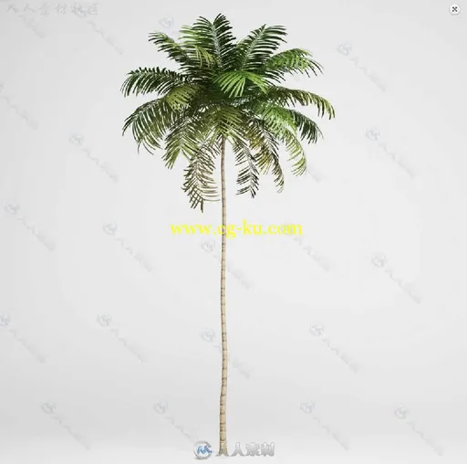 20组亚热带树木植物3D模型合辑 CGAXIS MODELS VOLUME 15 EXOTIC PLANTS的图片12
