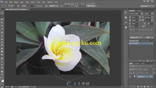 学习世界一流的平面设计Photoshop视频教程的图片3