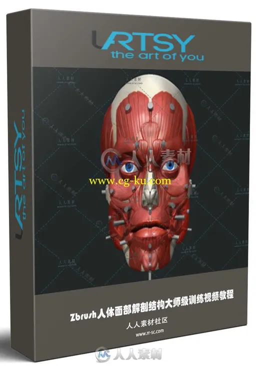 Zbrush人体面部解剖结构大师级训练视频教程 UARTSY ANATOMY OF THE FACE的图片1