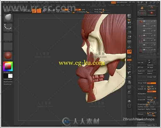 Zbrush人体面部解剖结构大师级训练视频教程 UARTSY ANATOMY OF THE FACE的图片2