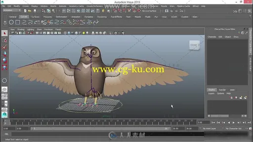 Maya绑定带翅膀的动物视频教程的图片1