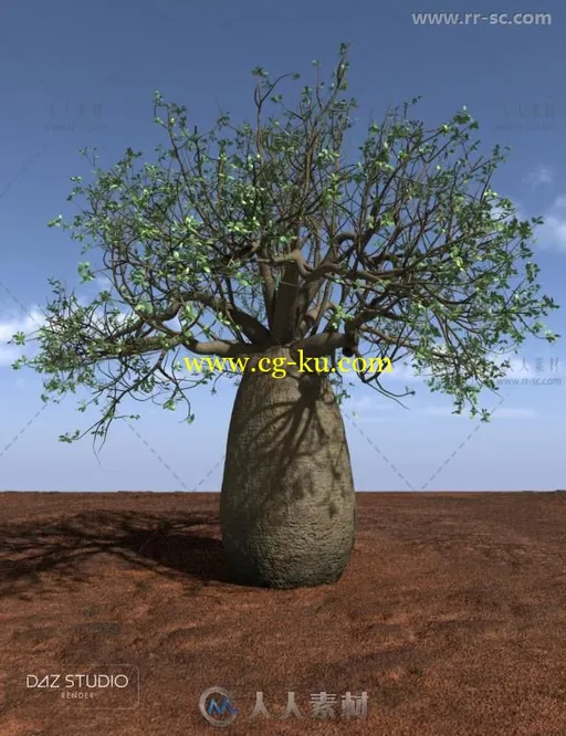 澳大利亚内陆的树木和植物3D模型合辑的图片1