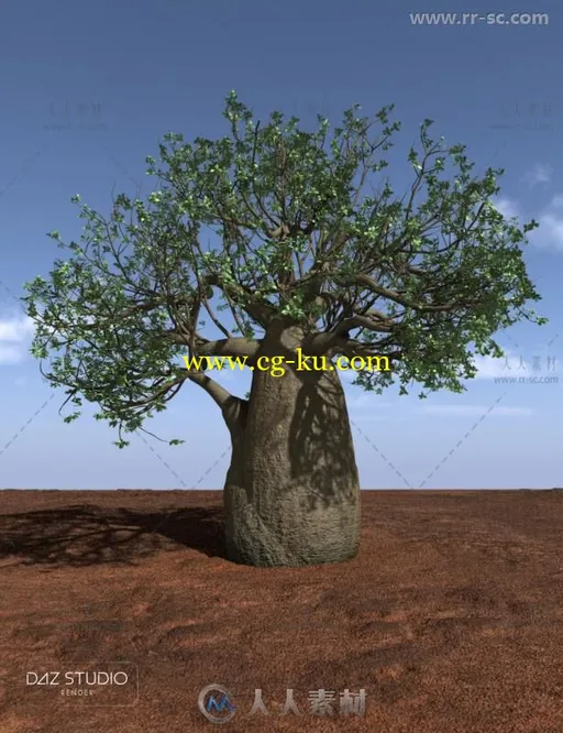 澳大利亚内陆的树木和植物3D模型合辑的图片2