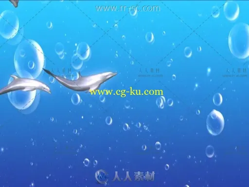可爱的海豚群游嘻戏婚礼LED背景视频素材的图片1