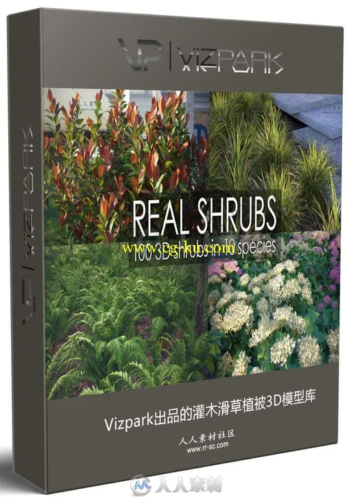 Vizpark出品的灌木滑草植被3D模型库的图片1