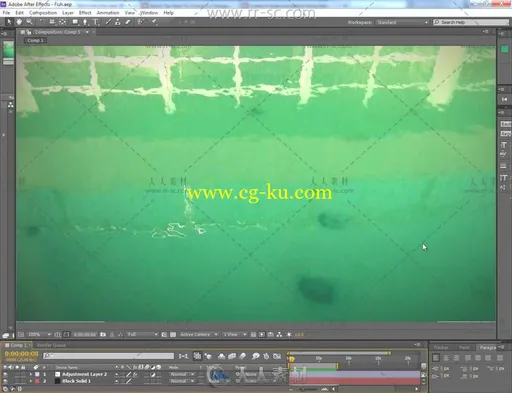 AE合成游泳的鱼视频教程的图片4