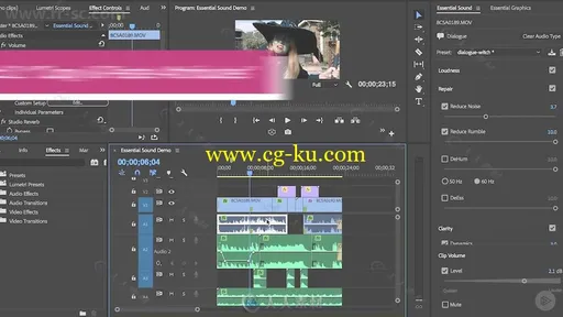 Premiere Pro混音配乐音频编辑处理技术频教程的图片3