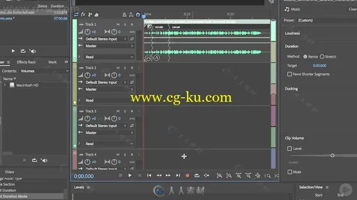 Premiere Pro混音配乐音频编辑处理技术频教程的图片4