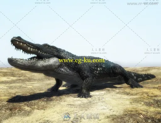 强大凶狠毒辣的鳄鱼动物3D模型合辑的图片2
