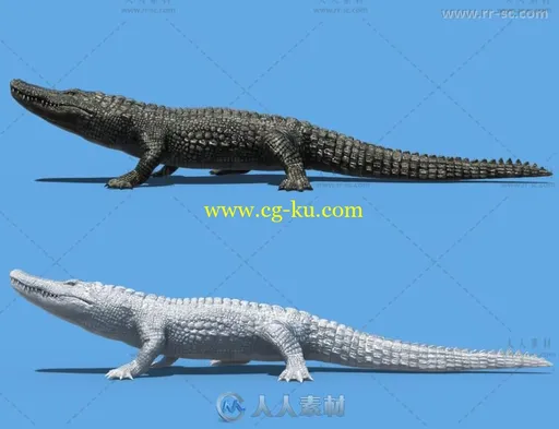 强大凶狠毒辣的鳄鱼动物3D模型合辑的图片3