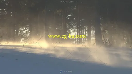 树林中的风雪吹起高清实拍视频素材的图片2