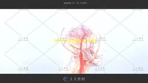人体3D血管器官模型解剖动态视频素材的图片2