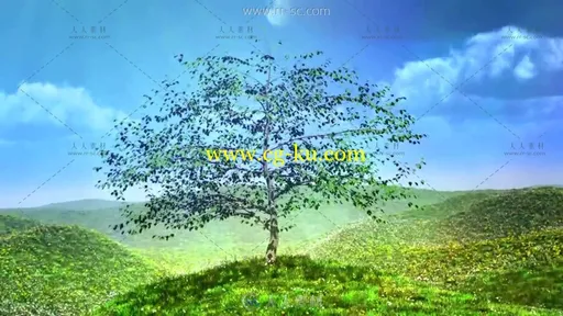 3D小树快速生长草原蓝天高清视频素材的图片3