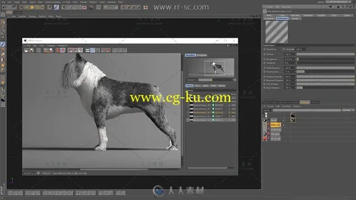 Illustration波士顿犬图制作视频教程的图片5
