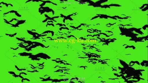 一群黑蝙蝠飞过带绿色通道视频素材的图片2