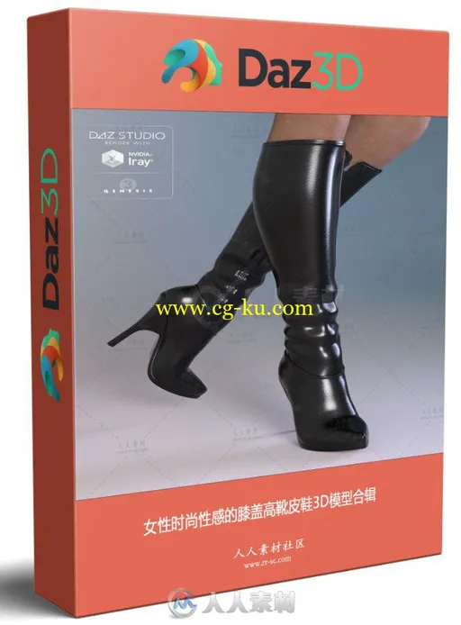 女性时尚性感的膝盖高靴皮鞋3D模型合辑的图片1