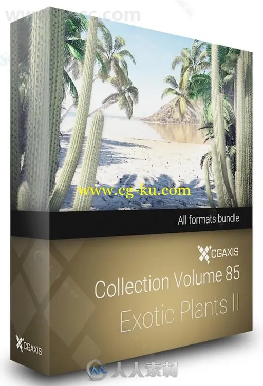 CGAxis出品22组热带棕榈植物仙人掌等3D模型合辑的图片1