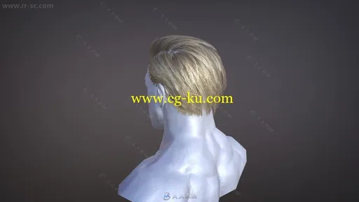 Blender专业人物头发实例制作视频教程的图片3