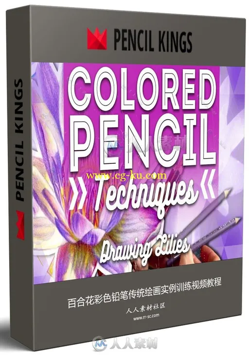 百合花彩色铅笔传统绘画实例训练视频教程的图片1